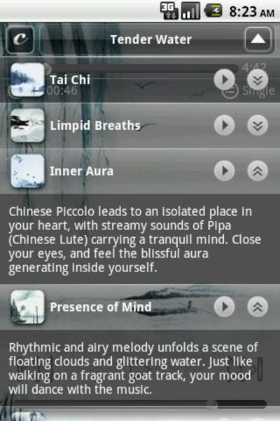 Simplicity Lite - Preview 5