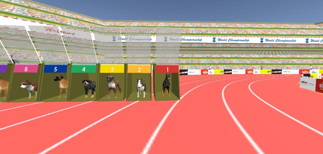 Dog Race 2019 - Preview 3