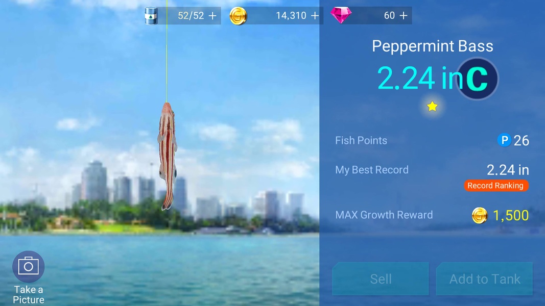 Pocket Fishing for Android - Download the APK from Uptodown