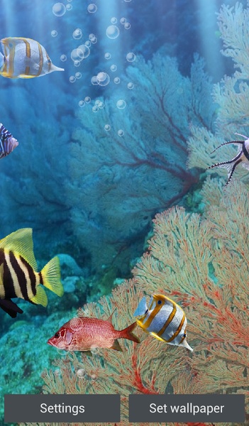 The real aquarium - HD - Preview 13