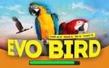 EVO BIRD screenshot 12