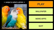 Birds Jigsaw Puzzle + LWP screenshot 7