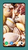 HD Seashell Wallpaper screenshot 6