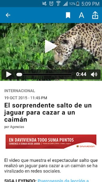 elsalvador.com - Preview 1
