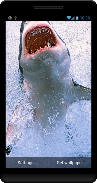 Shark Live Wallpaper - Preview 4