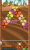 Fruit Bubble Mania screenshot 8