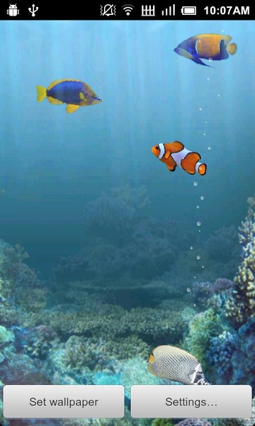 Aquarium Free - Preview 2