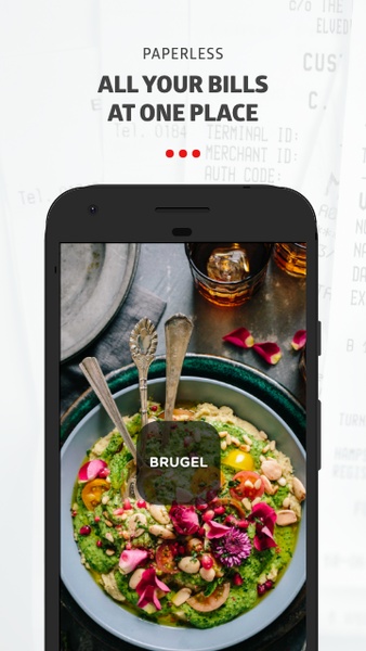 Brugel - Simple bill organizer - Preview 12