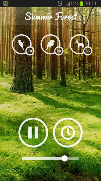 Forest Sounds - Preview 9