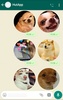 Dog Stickers for WhatsApp screenshot 7