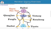 Meridian Qigong Exercises screenshot 5