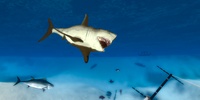 Shark Simulator 3D screenshot 3