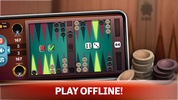 Backgammon-Offline Board Games screenshot 18