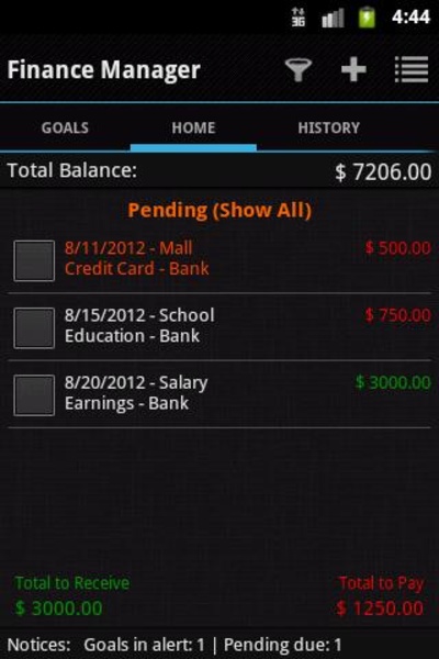 Finance Manager - Preview 8