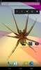 Spider in phone funny joke screenshot 6