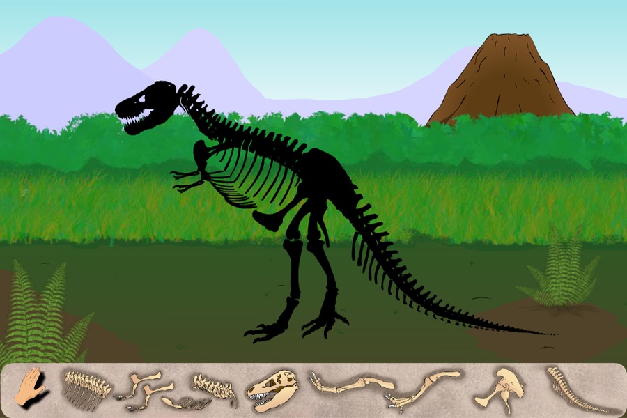 Dinosaur Excavation - T Rex - Preview 2