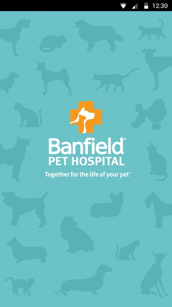 Banfield - Preview 6