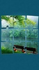 Nature Jeu de Puzzle screenshot 6