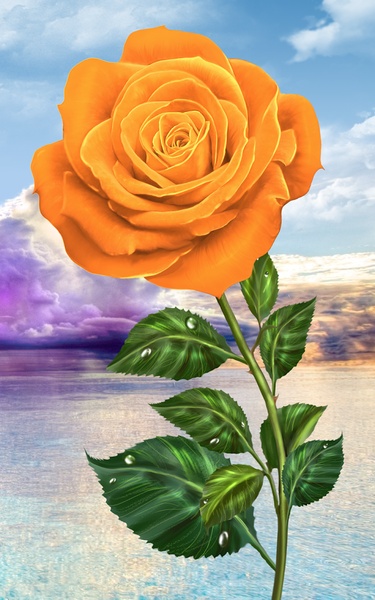 Rose - Preview 2