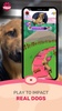 TREAT: Play & impact REAL dogs screenshot 6