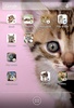Scleen Cat Icon Changer screenshot 2