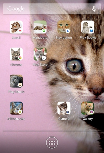 Scleen Cat Icon Changer - Preview 2