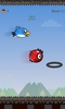 Angry Hop Birds screenshot 12