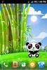 Panda Pet Live Wallpaper Free screenshot 7