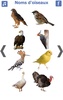 تعليم أسماء الطيور باللغة الفرنسية screenshot 3