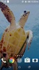 Turtle 3D Live Wallpaper screenshot 3