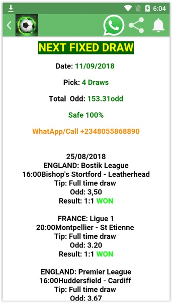 Soccer Bet Green - Preview 2