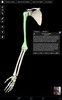 Essential Skeleton 3 screenshot 13