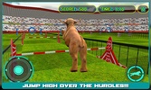 Dog Stunt Show Simulator 3D screenshot 14