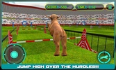 Dog Stunt Show Simulator 3D screenshot 14