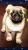 Cute Puppy Live Wallpaper screenshot 4