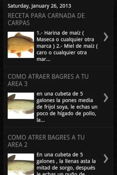 PESCA DE BAGRES - Preview 4