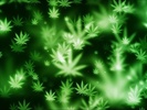 Marijuana Live Wallpaper screenshot 1