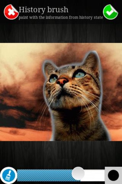 iMagic - image studio - Preview 3