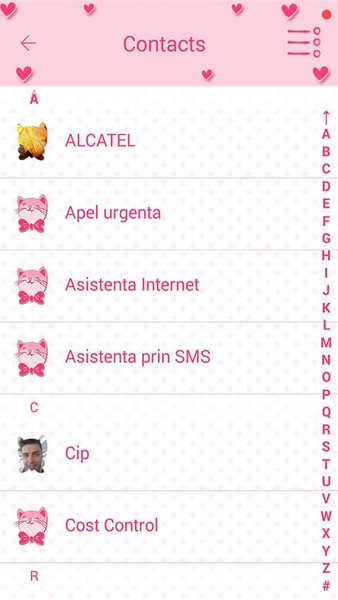 Pink Love SMS - Preview 4