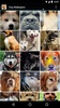 Dog Wallpapers screenshot 2