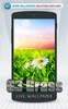 G3 Grass Live Wallpaper screenshot 6