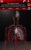 Circulatory System in 3D (Anatomy) screenshot 8