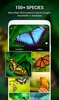 Insect identifier by Photo Cam screenshot 8