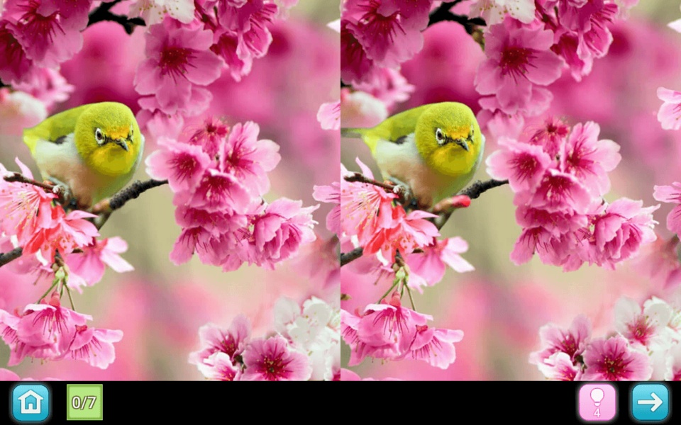 Pinky vol.2 - Find differences - Preview 2