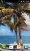 Beach Trees Live Wallpaper screenshot 2