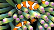 Sim Aquarium screenshot 6