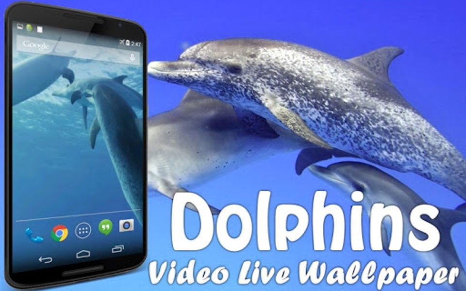 Dolphins Video Live Wallpaper - Preview 6