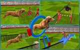 Dog Stunt Show Simulator 3D screenshot 8