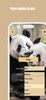 Chinese Chess screenshot 24