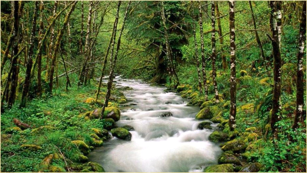 River Wallpapers - Preview 11
